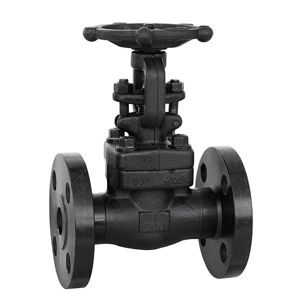 Forged Gate Valve