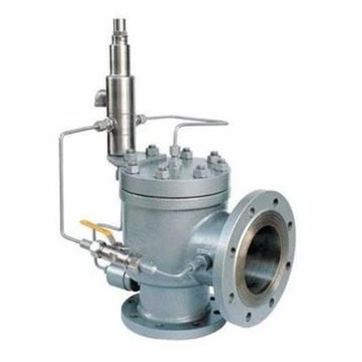 Pilot Operated Safety Valve