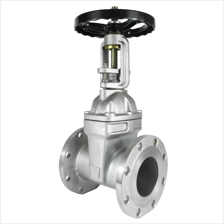 Rising Stem Gate Valve