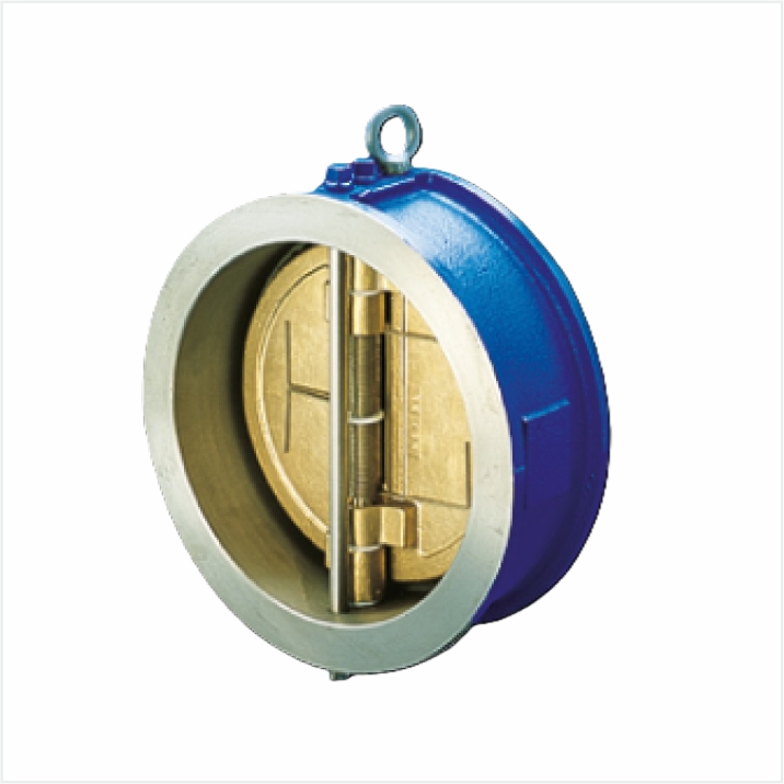 Dual Plate Check Valve